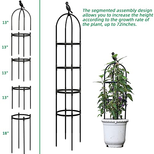Garden Trellis for Climbing Plants (Black)