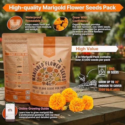 Marigold Seeds Pack 4 oz