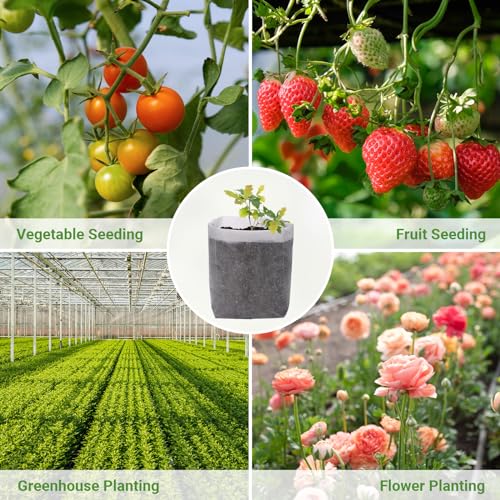 Degradable Grow Bags (50 Count)