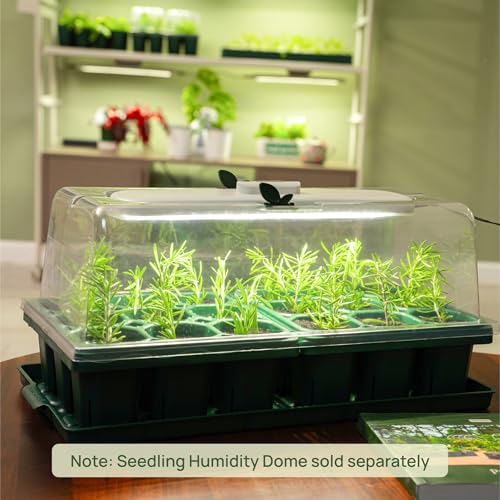 Giga Seedling Trays (2 Count)