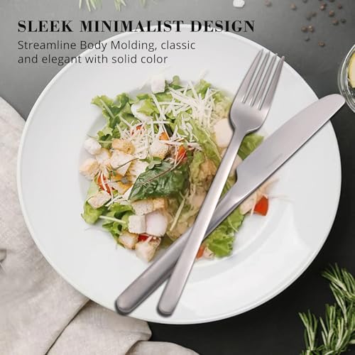 40 Piece Silverware Set (40 Piece / Matte Silver)