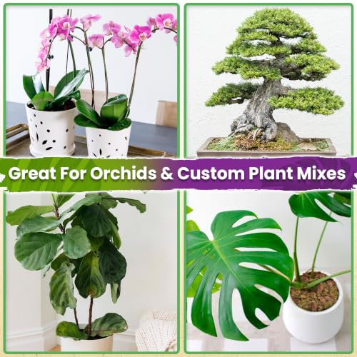 Orchid Bark for Plants (Orchid Bark 2 Quarts)