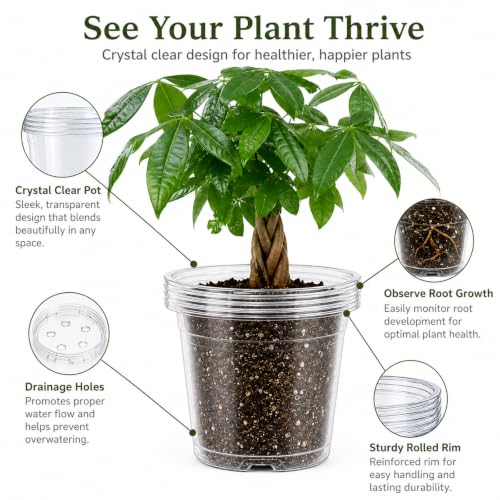 45 Pack Large Clear Nursery Pots 7 (Clear / 10/8/7 Inch)