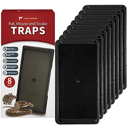 Sticky Mouse Trap (Large Plus)