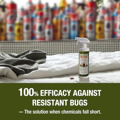 Bed Bug Killer 3 oz EcoVenger by EcoRaider (3 Ounce)