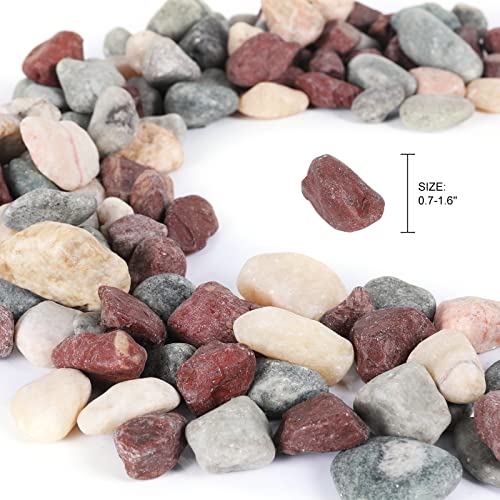 5lbs Natural River Rocks (5 Pounds / Idyllic)