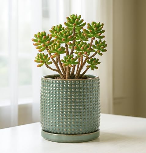 Beaded Ceramic Pot with Saucer (5.8 Inch / Olive)
