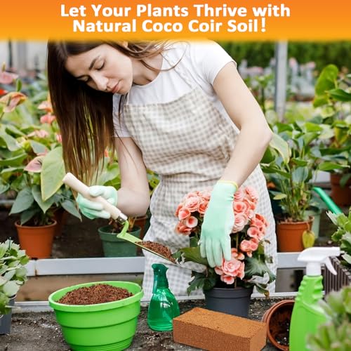 4 Pack Coco Coir Bricks for Plants (89.6 Ounce)