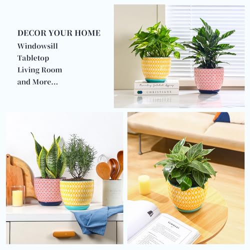 Ceramica Plant Pots (Assorted Colors / 6.5 Inch, Set of 2)