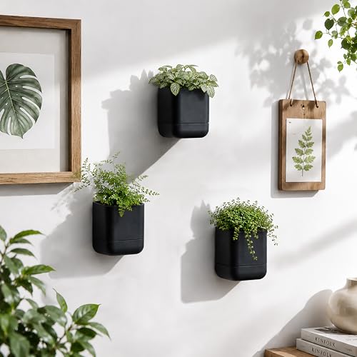 3.5 Inch Wall Mounted Self (3.5" (3 Pack) / Black)