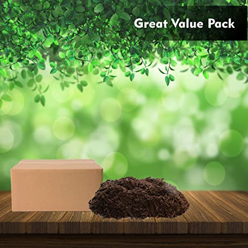 Organic Peat Moss (20 Quart)