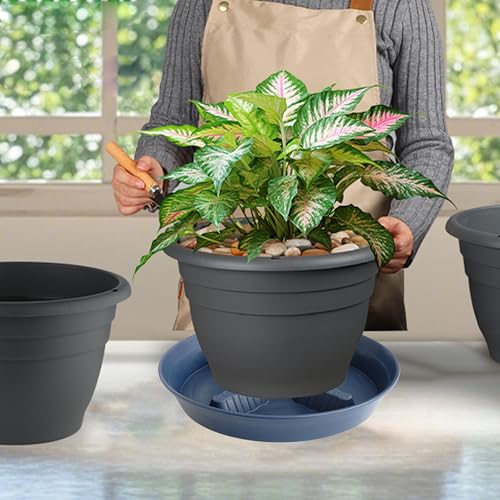 4 Pack Plant Saucer 10 inch (10"-4 Pack / Blue)