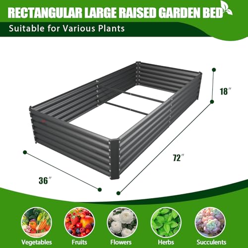 Anleolife 8 Bed L (8 Count)