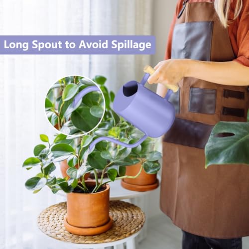 Watering Can Indoor Plants (Purple)