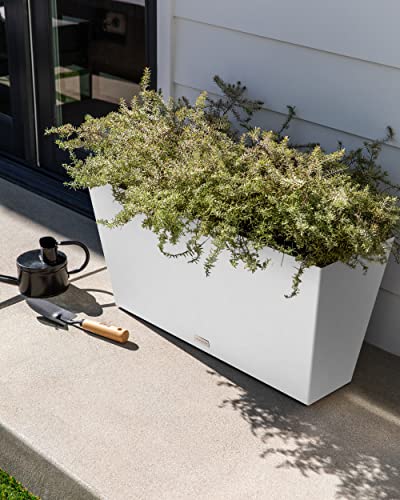 Pure Series Midori Planter (White / 39 inch)