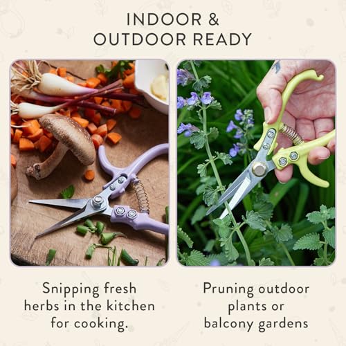 Pruning Shears (Lavender)