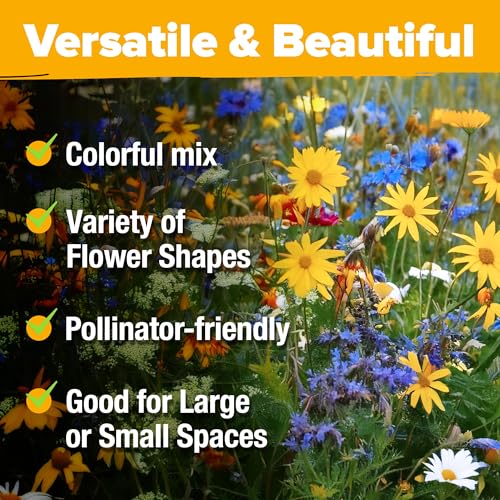 Wildflower Seeds Bulk Mix