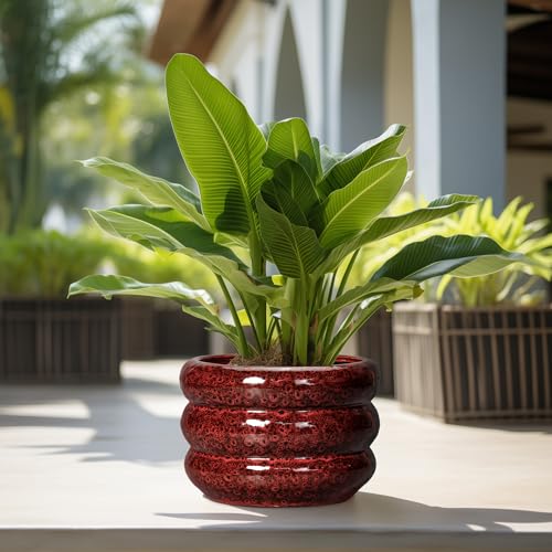 Ceramic Planters for Indoor Plants (13 Inch / Leopard Print Red)