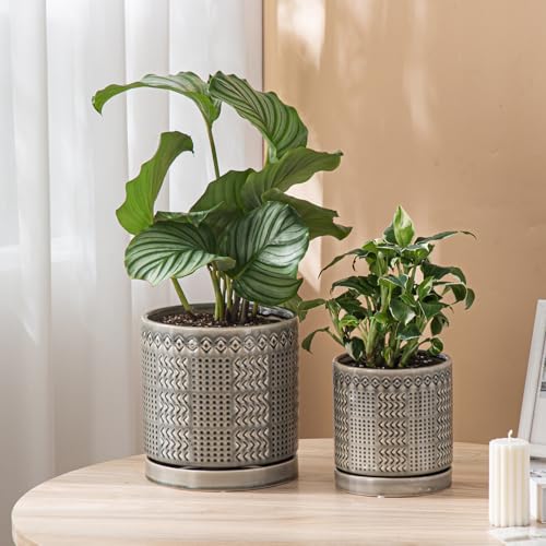 Indoor Outdoor Ceramic Plant Pots (6 inch / Gray)