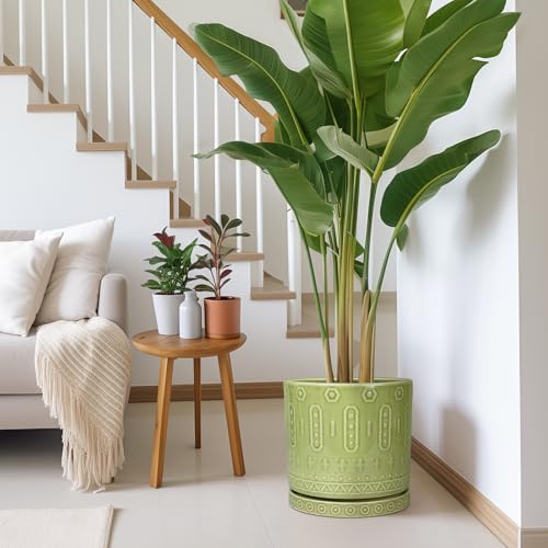 Ceramic Planter