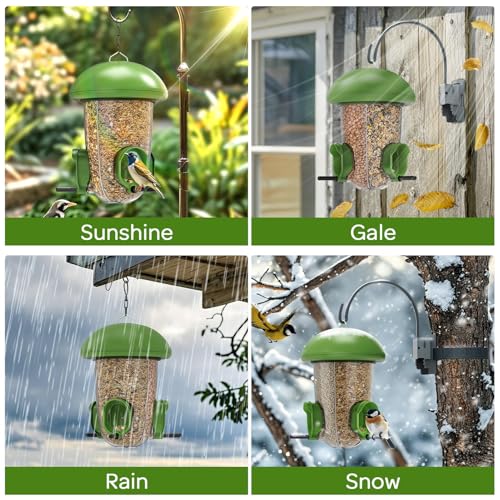 LONA Bird Feeder with 3 Compartments (Green / MAX)