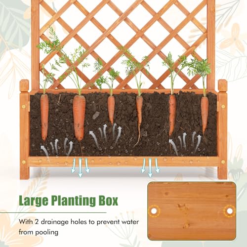 60” Raised Garden Bed with Trellis (28" x 13" x 60")