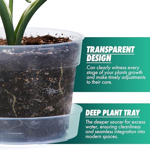 6 Inch Clear Plastic Plant Pot with Drainage Holes (12 Count)
