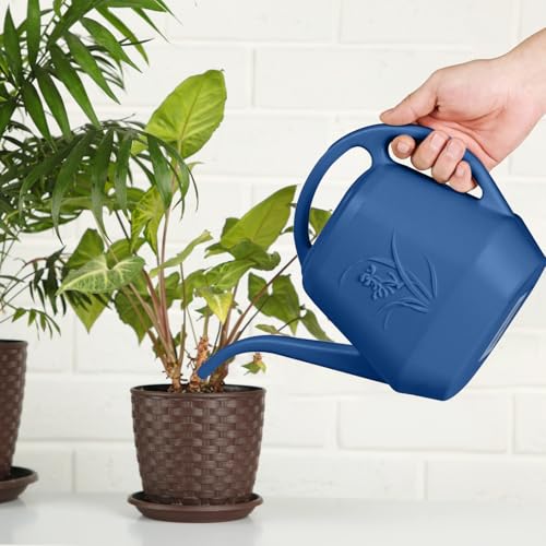 Hand Watering Can (Blue)