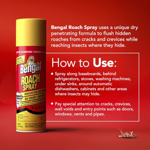 Roach Spray Dry Aerosol Indoor Roach Killer (9 Ounce)