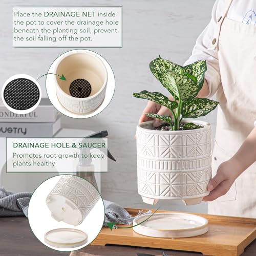 Ceramic Plant Pots Indoor (6 inch / White1)