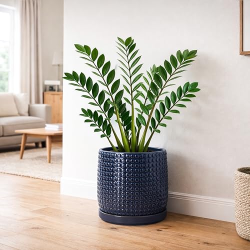 Beaded Ceramic Pot with Saucer (8.8 Inch / Midnight Blue)