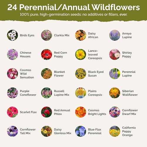Arkansas Wildflower Mixed Seeds for Planting