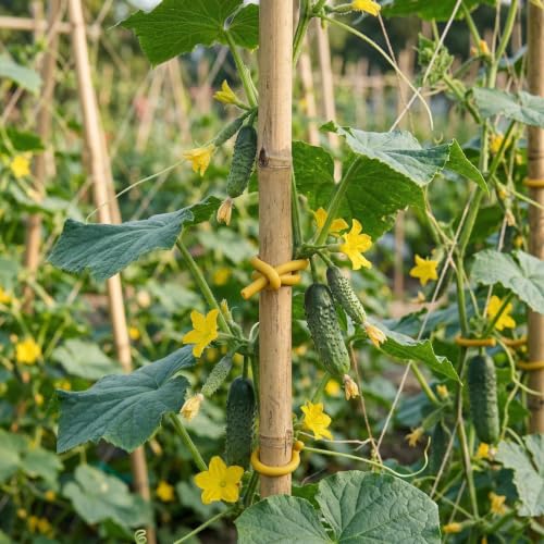 Soft Plant Ties for Support (65.6ft Yellow Plant Tie)