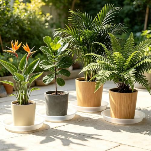 3 Pack Plant Saucer Heavy Large Planter Durable Thicker Plastic Plant Trays for Indoors and Outdoor (Transparent / 12 Inch)
