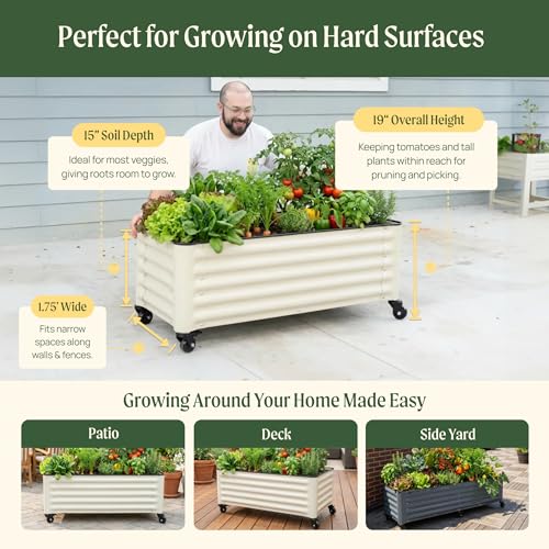 Classic Rolling Citrus Tree Planter (Pearl White / 1.75'X1.75')