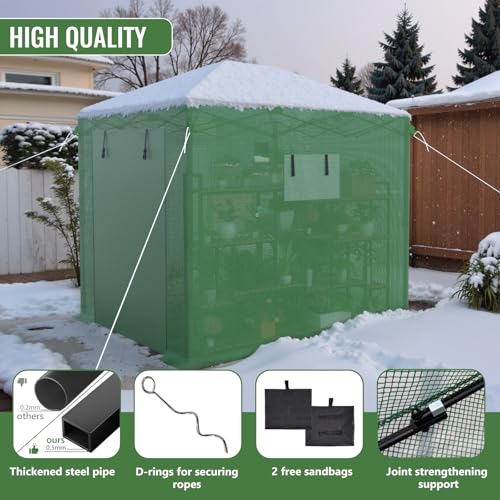 8X6 FT Pop Up Greenhouse