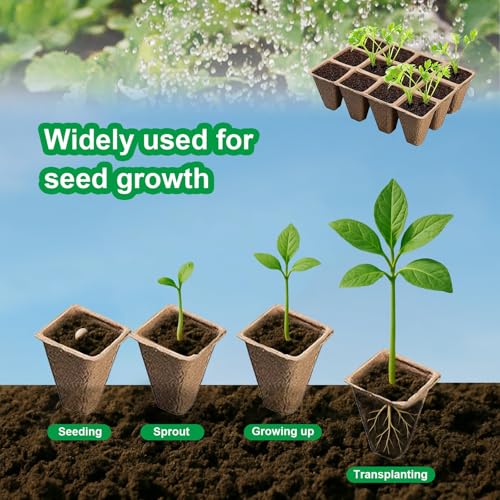 Seedling Starter Trays (5 Count)