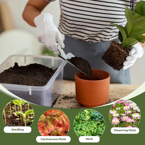 Sphagnum Peat Moss for Plants 2qt (64 Fl Oz)