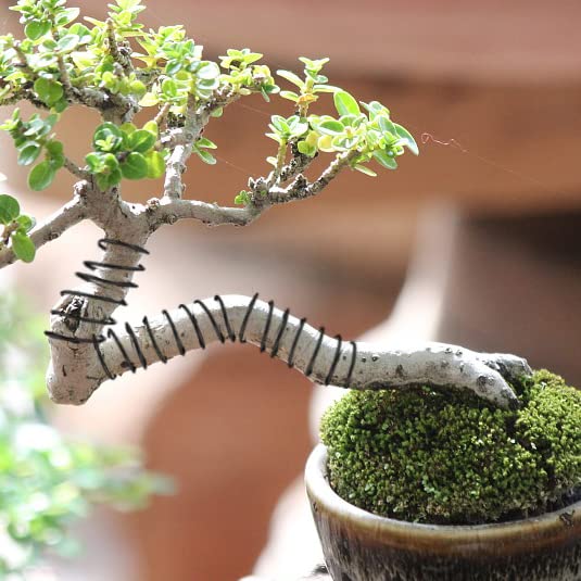 Bonsai Training Wire Kit