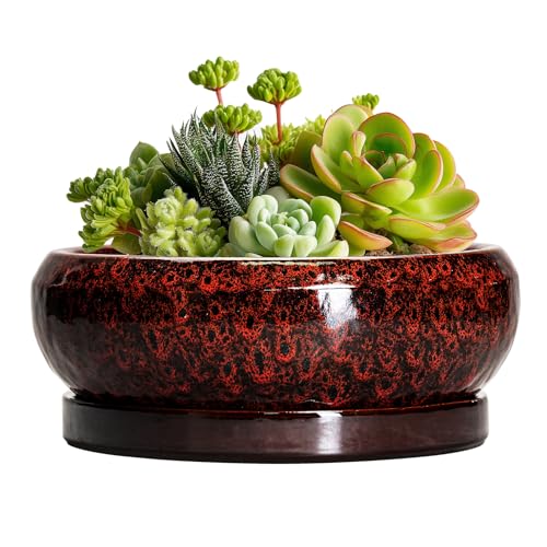 Succulent Planters 6 Inch (6 Inch / Leopard Red)