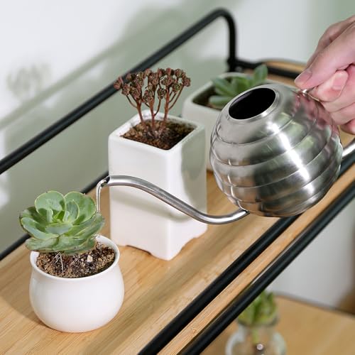 Plant Watering Bottle