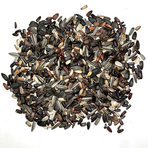 Sunflower Seeds to Plant Original Crazy Blend 2 Ounce Bulk Pack