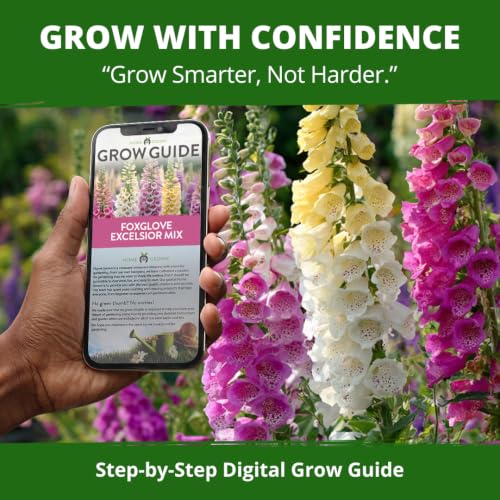Excelsior Mix Foxglove Seeds