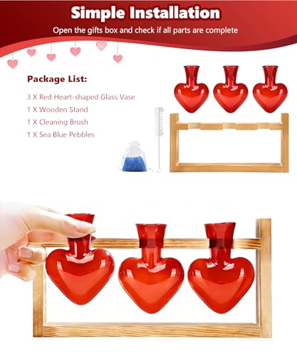 Plant Terrarium with Wooden Stand (Red)