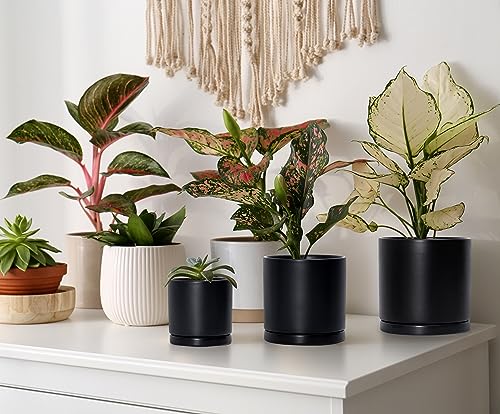 3 Pack Black Terracotta Pots & Saucers (4+5+6 Inch / Black)