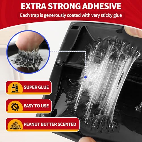 Mouse & Insect Glue Traps (Small)
