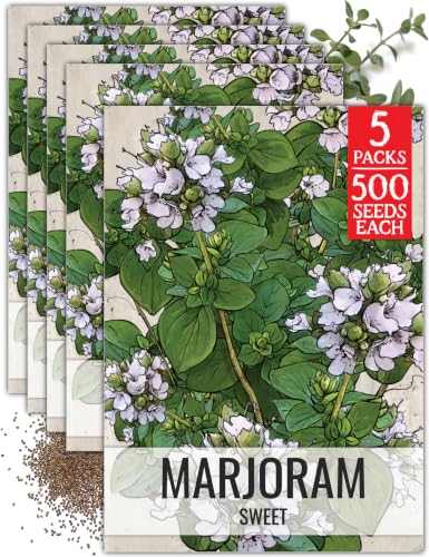 Sweet Marjoram Seeds to Plant Heirloom Non (5 Packs)