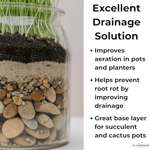 Fine Sand for Plants