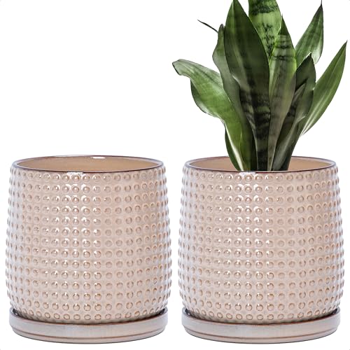 2 Pack Beaded Ceramic Pots (2 Count)