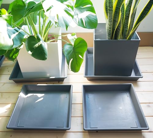 Square Plant Saucer 16 Inch 2 Pack (16"-2Pack / Gray)